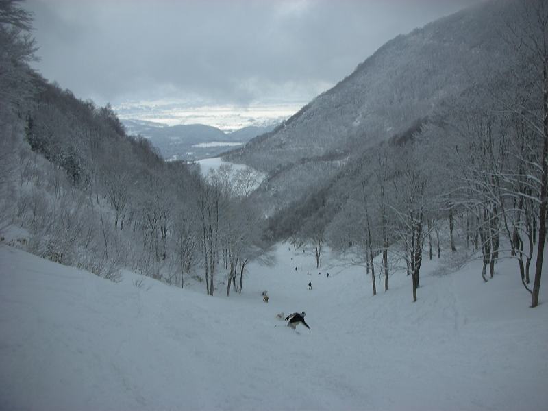 snow2007 (39).jpg